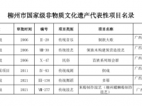 柳州市国家级非物质文化遗产代表性项目名录